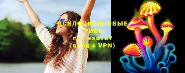 стаф Белоозёрский